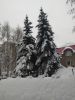IMG_20220108_163613.thumb.jpg.c9e48e1f5441f06ba10f143ef95183ce.jpg