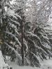 IMG_20220108_163834.thumb.jpg.598810354ba7dab466c4384ead7b36ae.jpg