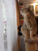 IMG_20220110_123937.thumb.jpg.9b59d459701a4c9096f4ce5c072579e9.jpg