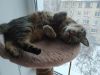 IMG_20220113_080642.thumb.jpg.0f7f0f92cc2aabd60afd791949749129.jpg