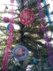 IMG_20220115_143608.thumb.jpg.939769578fe283311bb6cfdb089cb697.jpg