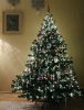 IMG_20220115_193720.jpg