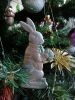 IMG_20220116_103438.jpg
