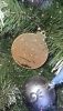IMG_20220118_143827_036.thumb.jpg.b85c9e05361dbaeb1b36e0a3cf520ccf.jpg
