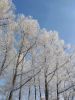 IMG_20220120_120512b.thumb.jpg.ef12d25883b554e63490c8dedbfec785.jpg