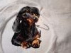 IMG_20220120_160522_065.thumb.jpg.c102d279c9bba334b5cdf45d71a6b760.jpg?1643059749388