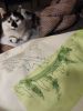 IMG_20220121_204451.thumb.jpg.f535457ba7cd0a826f8f70f803238150.jpg