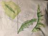 IMG_20220122_023111.thumb.jpg.6b3999a0d842882a34434cfd6978ec40.jpg
