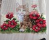 IMG_20220123_213154.thumb.jpg.bed0e1b95c215f0211e5b410299dd859.jpg