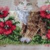 IMG_20220123_213214.thumb.jpg.e1d3d9ff7967065a3de205e04f776904.jpg
