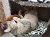 IMG_20220124_014427.thumb.jpg.eefdaa8f47e28c32324b94bbdb912a3d.jpg