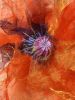 IMG_20220124_212615.thumb.jpg.95ce51f4f60253ea19d74eaee5eae584.jpg