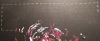 IMG_20220125_080220.thumb.jpg.a1e03530f15df35804cb5ccf46ccbf2a.jpg