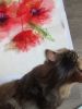 IMG_20220125_112100.thumb.jpg.ef0012c2c7cd211a383777a7b585a80a.jpg