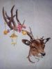 IMG_20220126_022120.jpg