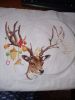 IMG_20220126_022124.jpg