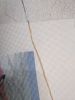 IMG_20220126_175349.thumb.jpg.2046c63c711c03c7c0d9592890a9673b.jpg