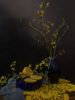 IMG_20220128_102944.thumb.jpg.5a92694caf024233ab9d8fd77baff421.jpg