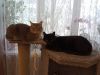 IMG_20220128_103946.thumb.jpg.4f869baaf31fa1ec73391a657d03f3b1.jpg