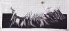 IMG_20220128_120019.thumb.jpg.43a2ea5b317cedfd8331322dcfa66889.jpg