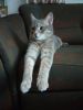IMG_20220128_154903.thumb.jpg.7ffdef077a3956ecb2eff0ffeaa62edb.jpg