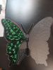 IMG_20220128_203200.jpg