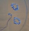 Lace1.JPG.47894928af94ac330e227a98ce6d89f6.JPG