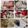 MyCollages-6.thumb.jpg.d55bf5baaa1b5fa954c5c7f7574c9a62.jpg