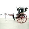 hansom-cab-2010-1431.thumb.jpg.c64229ff4a380a4941f8799dc4f91e27.jpg