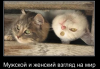 image.thumb.png.99cb66d56db444a85e8644948253fe74.png
