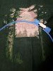 12.thumb.jpg.f4734f3bbb06bf5f025675be5e26654b.jpg?1644225225731