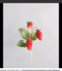 1467903500_12.thumb.png.7e057e193531970cae797d1dba0f2a0a.png