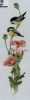1981.thumb.jpg.f35a4a894dae542a3e60f2825a477e68.jpg