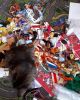 20181011_083928.thumb.jpg.3d22eba5a4ee19b9efcbf15c58aead42.jpg
