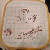 20211223_074101.thumb.jpg.dc9d33da2d1c62fba4be98ba48e92f5f.jpg?1644699748417