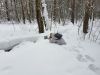 20220118_122059.thumb.jpg.706167fc6c2fee3a39b41240db500c4f.jpg