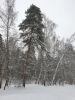 20220122_111919.thumb.jpg.4154fa5db306e65e5af9eb4d9d66563c.jpg