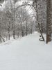 20220122_114124.thumb.jpg.39535cbef40fff02c399c1707b062b19.jpg