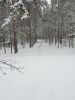 20220122_115147.thumb.jpg.18f32cb0885e63b38f5031fc5e4ae92d.jpg