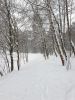 20220122_115156.thumb.jpg.bc48905d03b6bd7d9aacfabff293b4f1.jpg