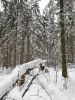 20220123_122919.thumb.jpg.bf8770e14dbd6d11c5ee319038f21e86.jpg