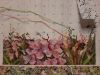 20220124_001622.thumb.jpg.8c610f7602615f97a92be869f1ac249b.jpg