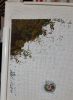 20220203_035951.thumb.jpg.1be34daba4ed28db7d8ffe72816ee6b6.jpg