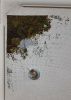 20220208_042755.thumb.jpg.2ce0ba44738eeda2c46ad7d4a8577a9b.jpg