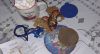 20220208_075740.thumb.jpg.0dd299dca1725c246bb7f63fc4dd5d5a.jpg
