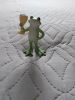 20220209_145355.thumb.jpg.fc02cbdbbdd07790c7170b828ff00abe.jpg