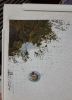 20220211_023633.thumb.jpg.b40989cad4d99565bd0d1d43e411fb25.jpg