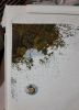 20220211_232546.thumb.jpg.cfd44115bdd7dafd59ef63614be195f7.jpg