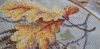 20220213_160301.thumb.jpg.61b1395bbc801c7c94da88a5a95ff652.jpg