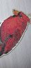 20220225_010711.thumb.jpg.8eaac5775b1db444e6fe1b5a682de8a2.jpg